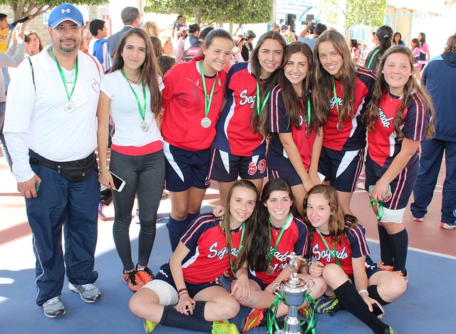 可以看出 可以看出