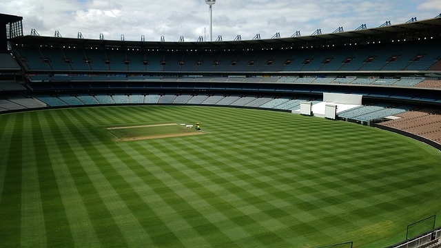 他们学会了 他们学会了