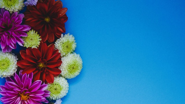 顶级俱乐部 顶级俱乐部