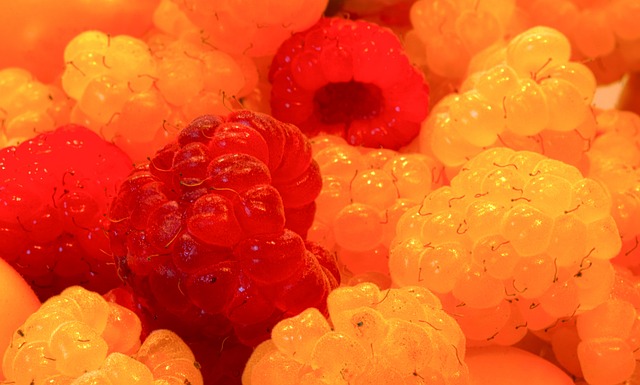 初带领球队 初带领球队