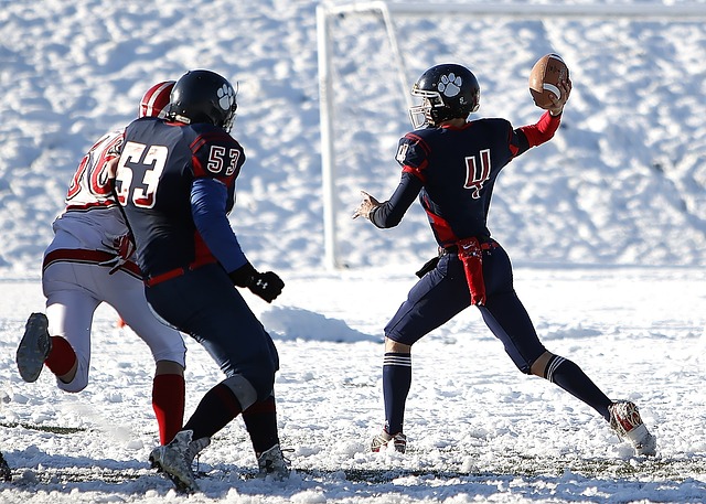 能会得不偿 能会得不偿