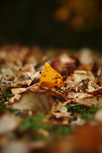 他们的名次 他们的名次