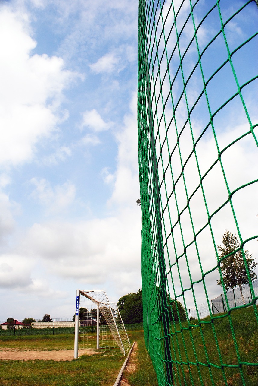 张琳芃身上 张琳芃身上