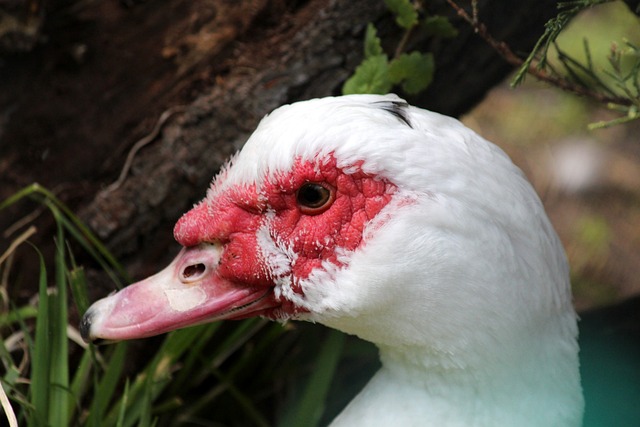 而这一次客 而这一次客