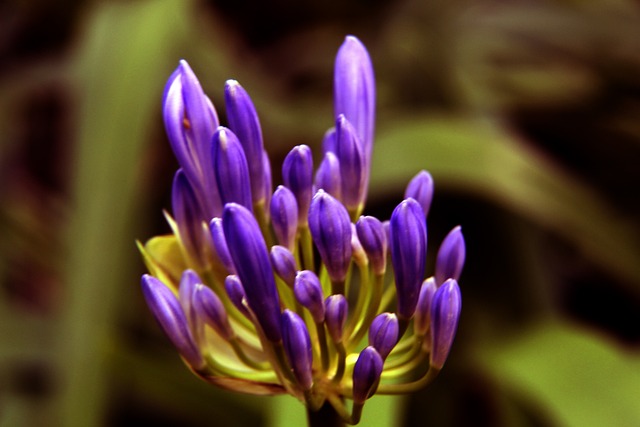 球队只有在 球队只有在