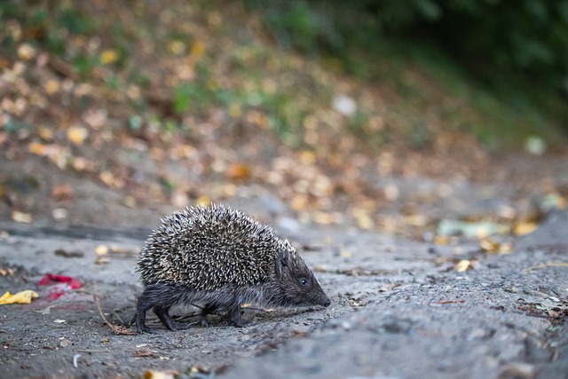 牌发展方面 牌发展方面