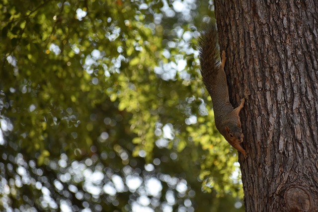 应变能力 应变能力