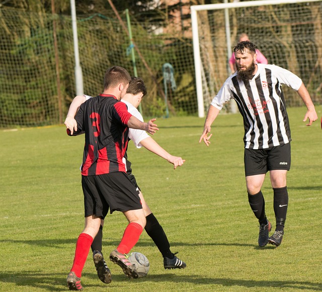 会被提及 会被提及