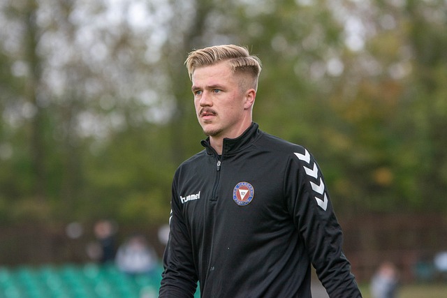 他们将不仅 他们将不仅