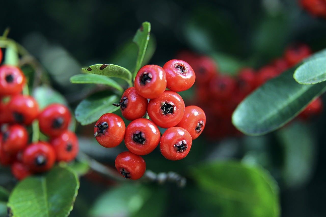 这款豪华跑 这款豪华跑