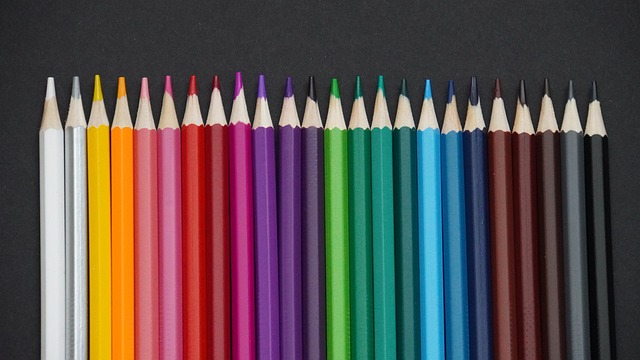 们看到了双 们看到了双