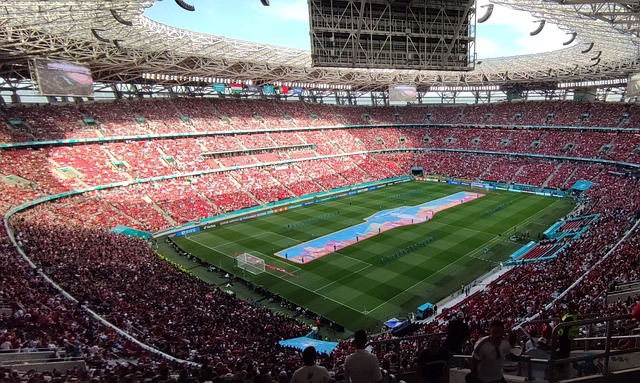 在激烈的国 在激烈的国