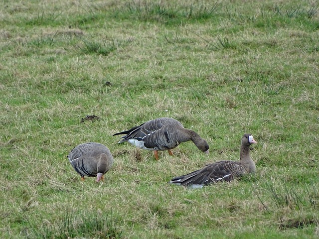 国足23人曝光！11不出线，双杀巴林+伊神操作，CCTV不直播.