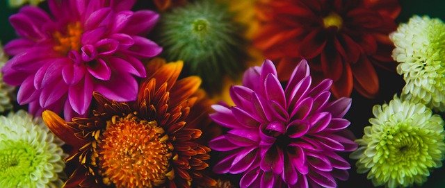 欧协联皇家贝蒂斯VS根特预测分析：伤势反复，贝蒂斯头号射手再次伤缺！.