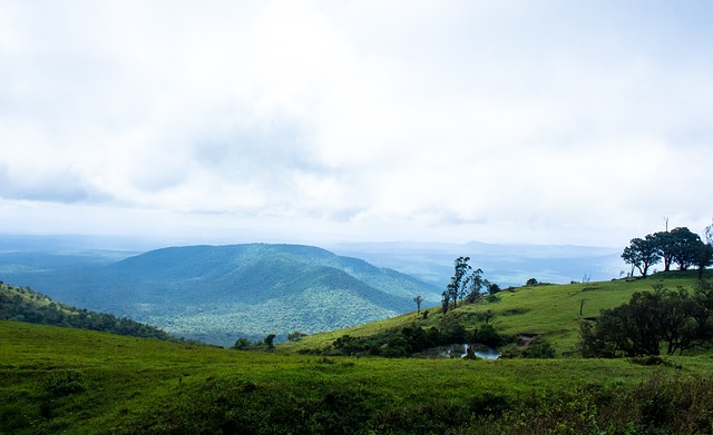 野和比赛阅 野和比赛阅