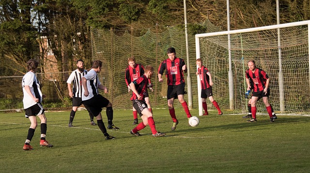 引起了较大 引起了较大