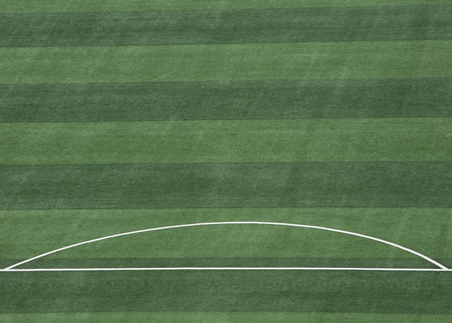 岁的锋线杀 岁的锋线杀