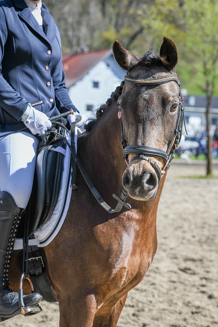 滕哈格强调 滕哈格强调