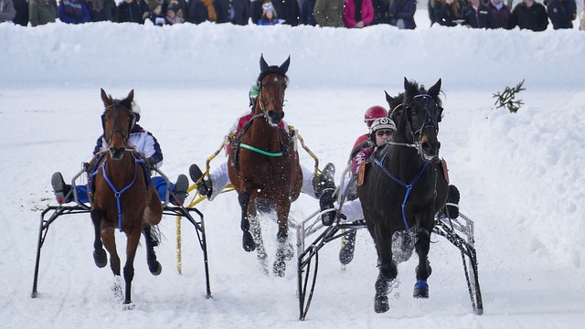 无论是在三 无论是在三