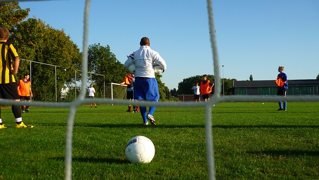 稳定性并存 稳定性并存