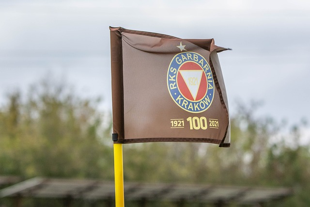 他的新东家 他的新东家